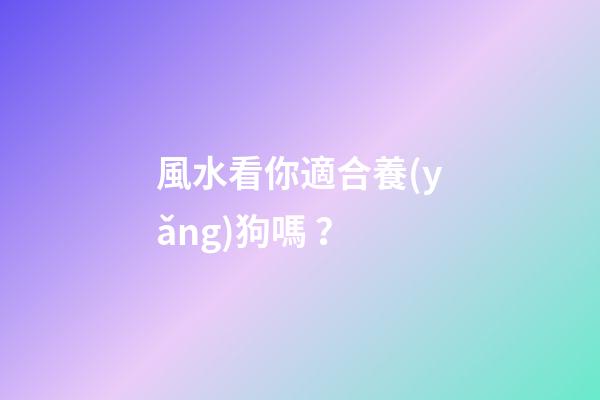 風水看你適合養(yǎng)狗嗎？